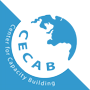 Center for Capacity Building
